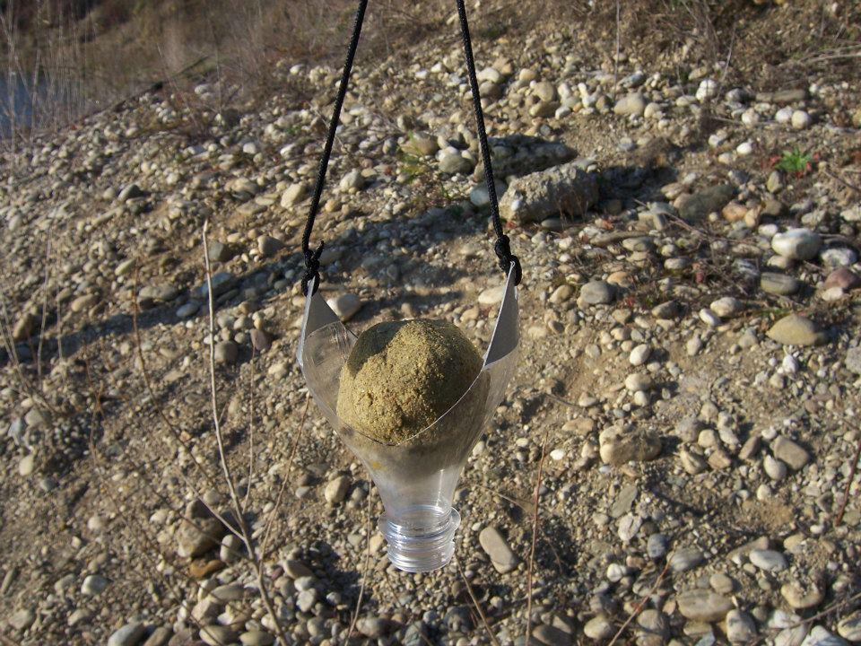 fishing 2 - 1649615231935910515771717367410n.jpg